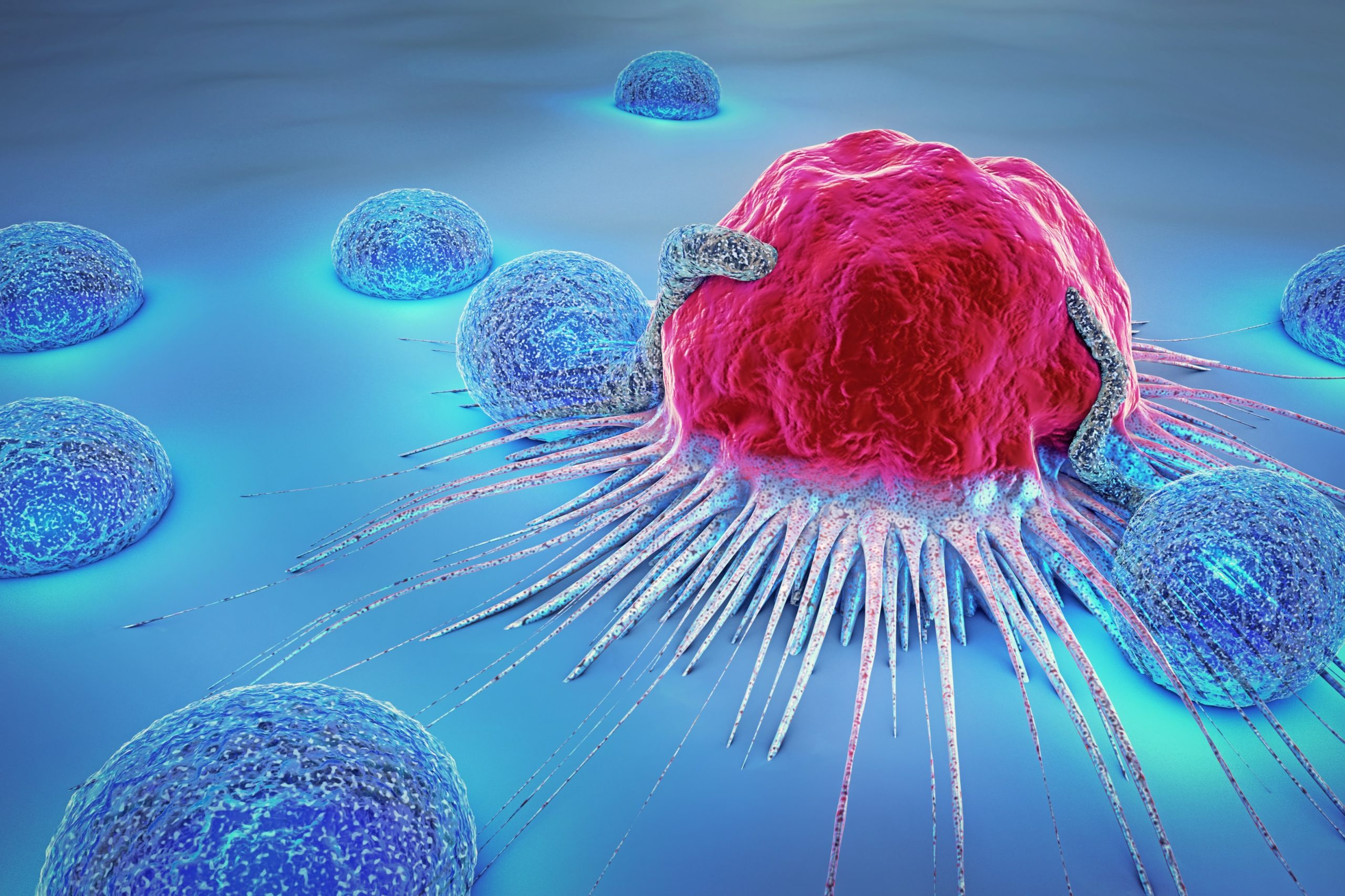 3 Ways Cancer Can Spread To Other Parts of The Body